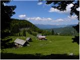 Planina Tamar